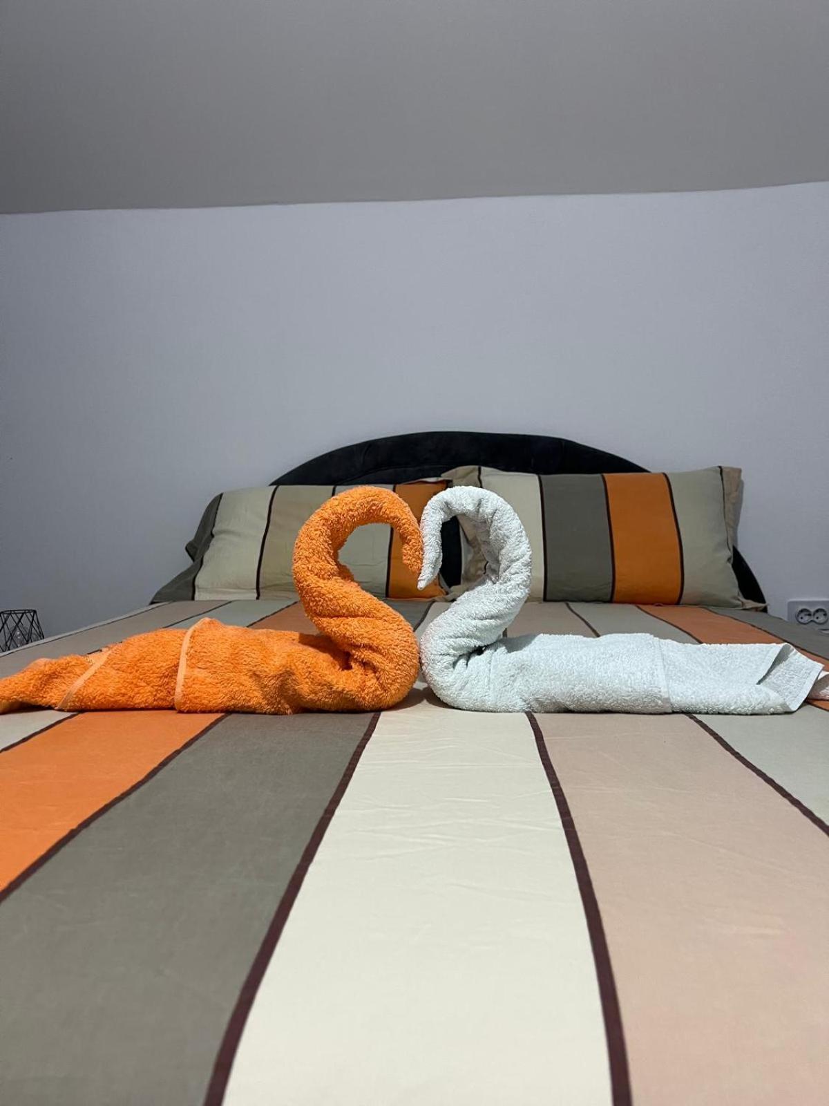 오라데아 Casa Casy 빌라 외부 사진